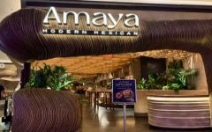 Amaya Modern Mexican