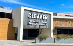 Cleaver