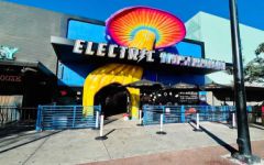 Electric Mushroom