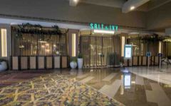 Salt & Ivy